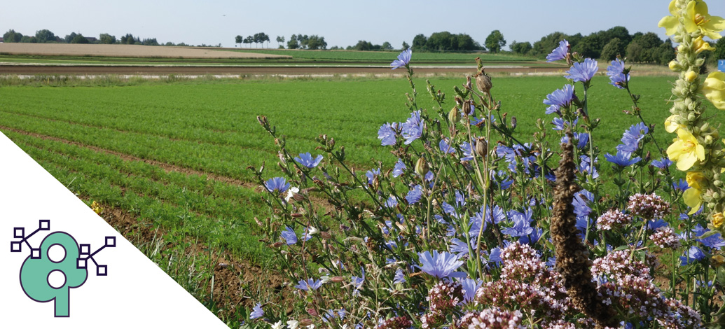 Climate Change and Biodiversity in Baden-Württemberg