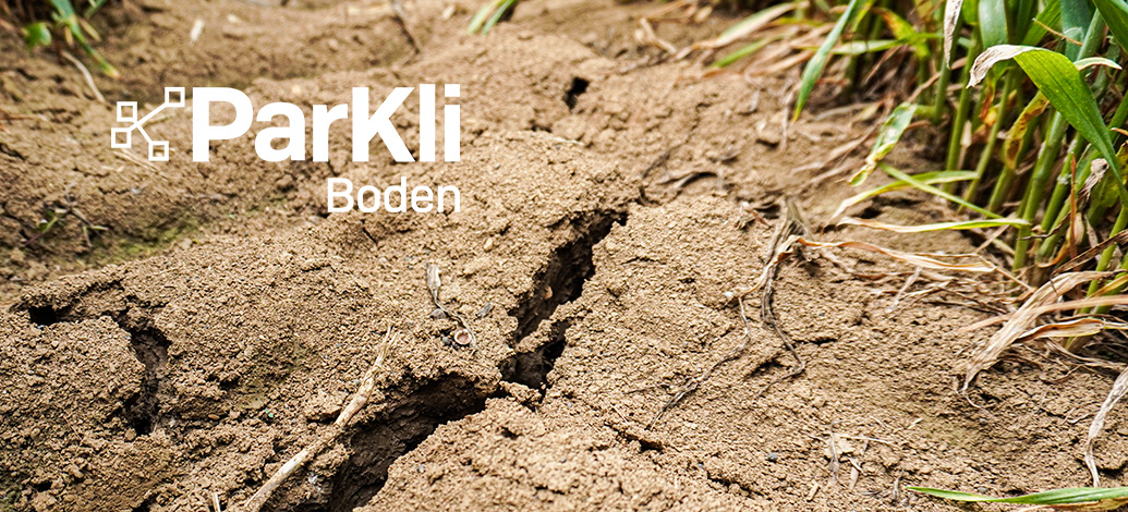Riss im trockenen Boden