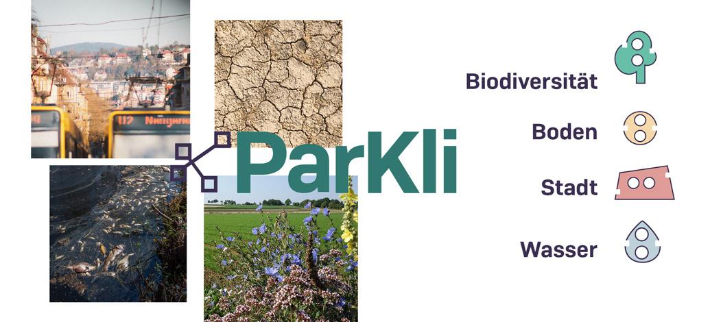 parkli teaser image