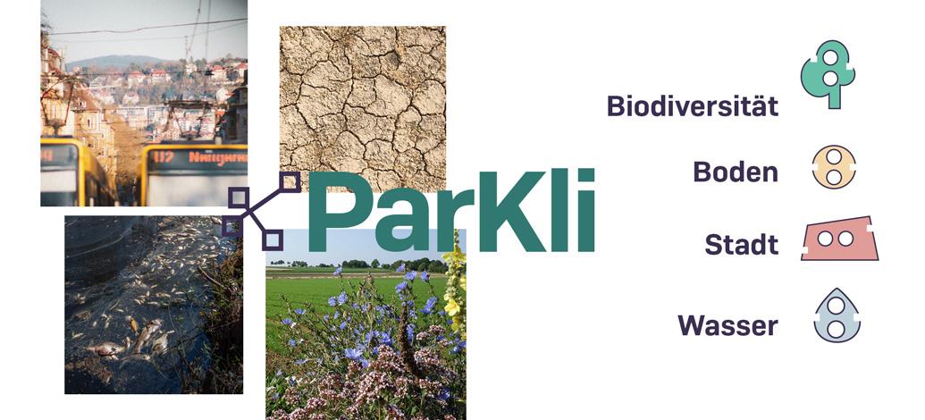 Darstellung der ParKli Themen, Biodiversität, Boden, Stadt und Wasser.