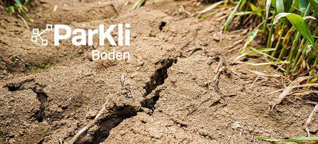 Riss im trockenen Boden