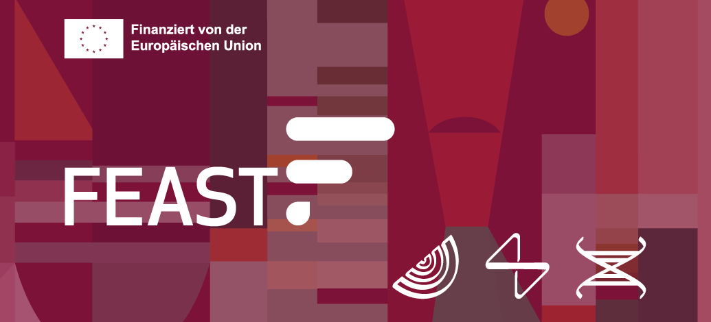 Feast banner with funding disclaimer, logo and icons for health, foos and sustainable